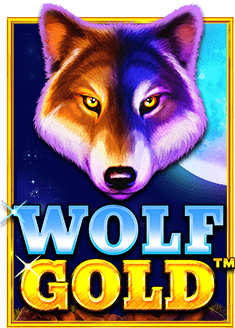 รีวิวเด็ดๆ: ทดลอง เล่น บา คา ร่า เช้ ก ชี่ แบบเซียนๆ